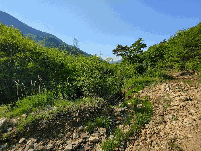충청남도 논산시 벌곡면 한삼천리 395-7 임야 경매 사진 7