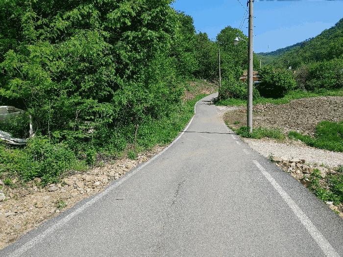 충청남도 논산시 벌곡면 한삼천리 395-7 임야 경매 사진 8