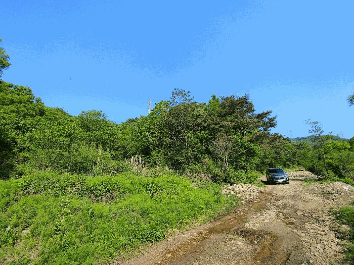 충청남도 논산시 벌곡면 한삼천리 395-7 임야 경매 사진 9