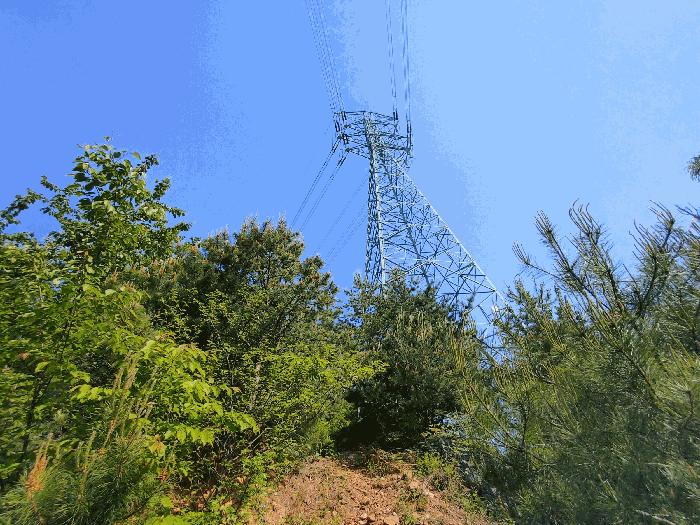 충청남도 논산시 벌곡면 한삼천리 산30-1 임야 경매 사진 10