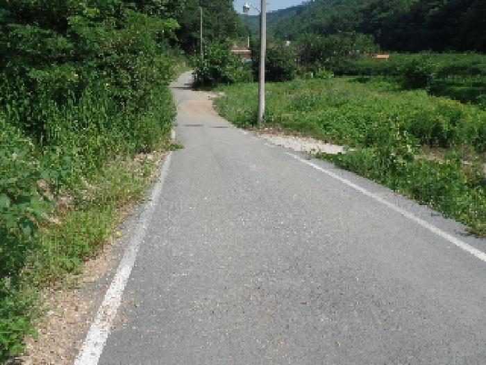 충청남도 논산시 벌곡면 한삼천리 산30-1 임야 경매 사진 16
