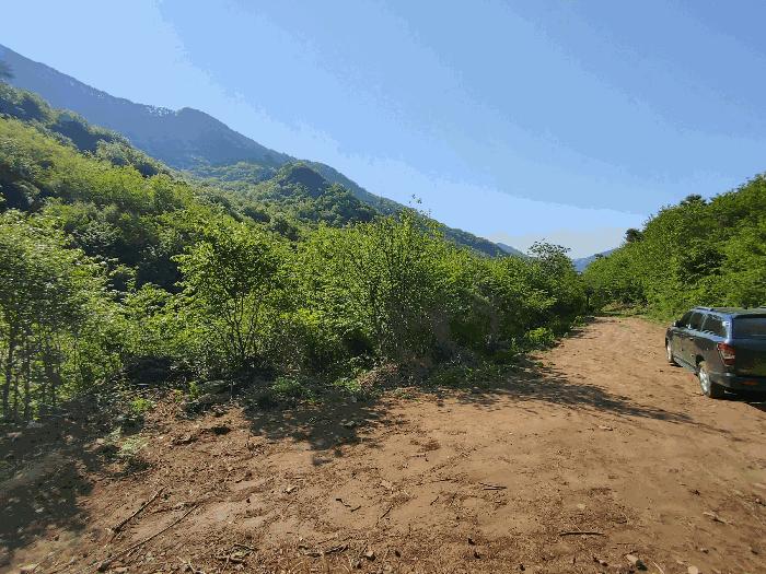 충청남도 논산시 벌곡면 한삼천리 산30-1 임야 경매 사진 2