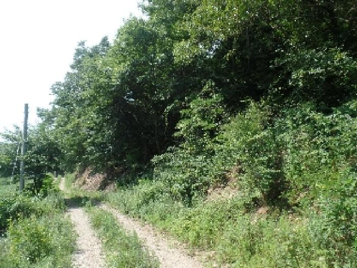 충청남도 논산시 벌곡면 한삼천리 산30-1 임야 경매 사진 20
