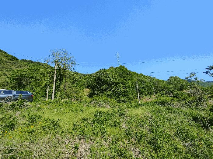 충청남도 논산시 벌곡면 한삼천리 산30-1 임야 경매 사진 6