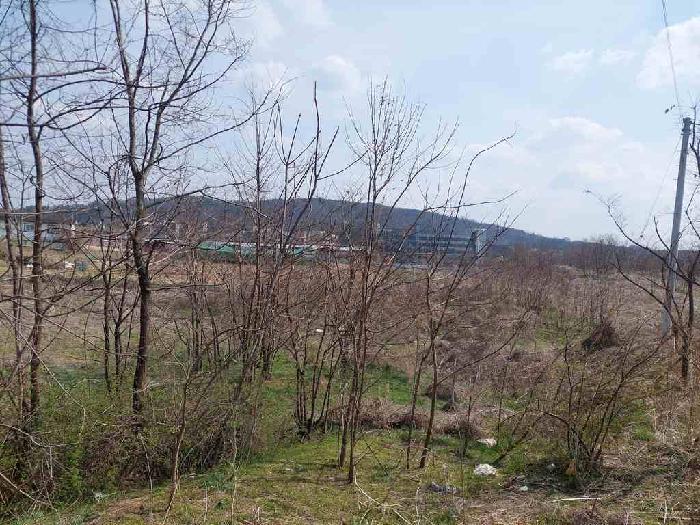 충청남도 천안시 서북구 성환읍 성월리 86-1 과수원 경매 사진 10