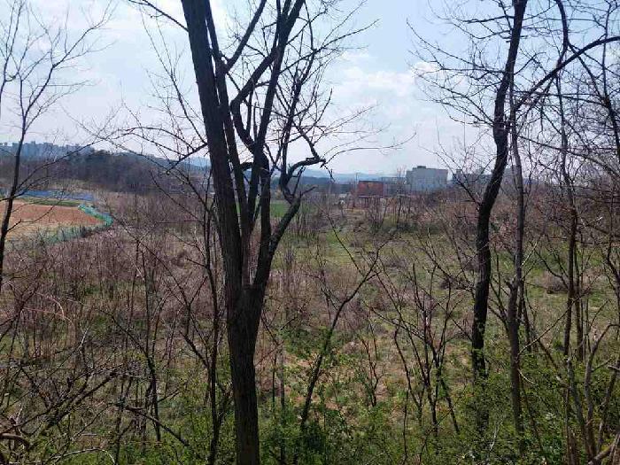 충청남도 천안시 서북구 성환읍 성월리 86-1 과수원 경매 사진 17