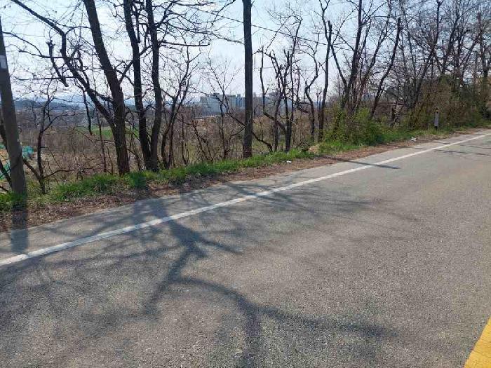 충청남도 천안시 서북구 성환읍 성월리 86-1 과수원 경매 사진 23