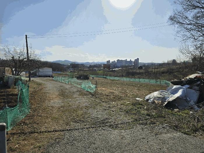 충청남도 천안시 서북구 성환읍 성월리 86-1 과수원 경매 사진 8