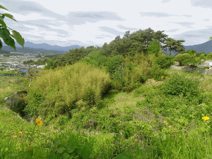 전북특별자치도 남원시 대산면 금성리 산34-2 임야 경매 사진 3