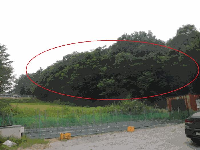 충청남도 천안시 동남구 신부동 966 신부동더?? 8층801호 오피스텔 경매 사진 6