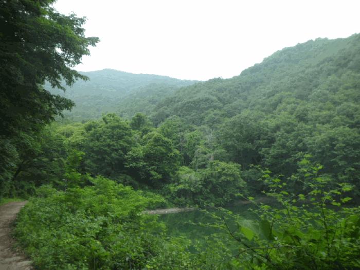충청남도 아산시 도고면 도산리 산8-10 임야 경매 사진 4