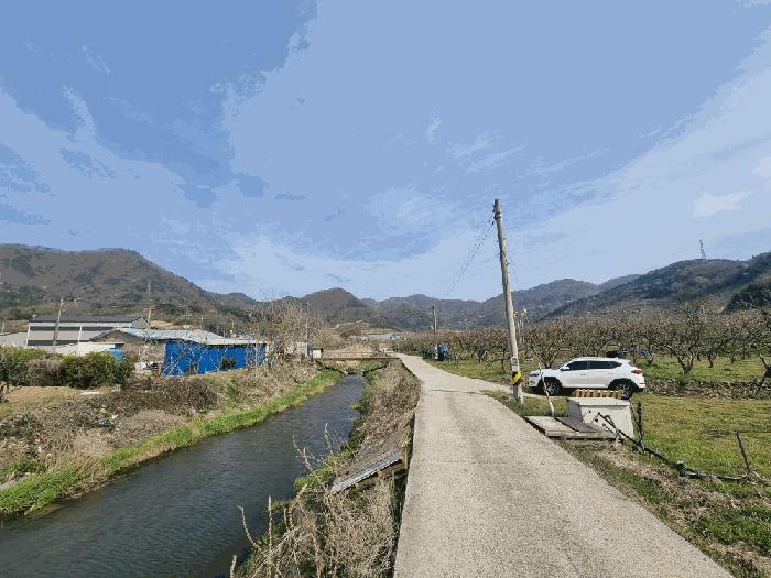 전라남도 영암군 금정면 안노리 357 전 경매 사진 1