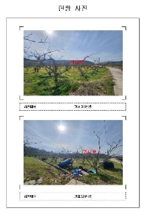 전라남도 영암군 금정면 안노리 357 전 경매 사진 3