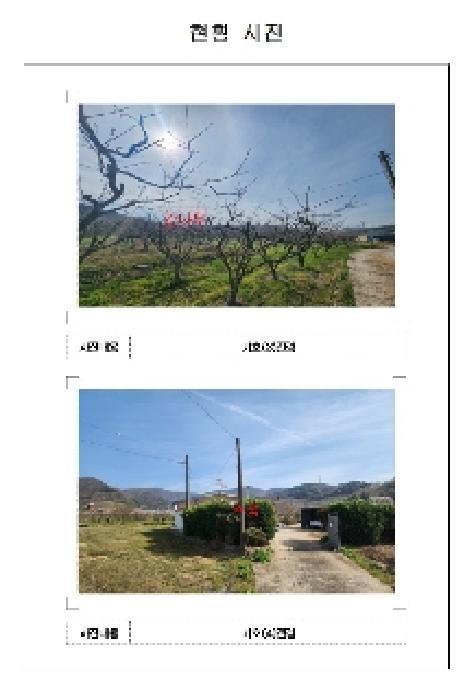 전라남도 영암군 금정면 안노리 357 전 경매 사진 4