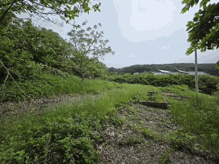 전라남도 무안군 삼향읍 왕산리 357-3 전 경매 사진 2