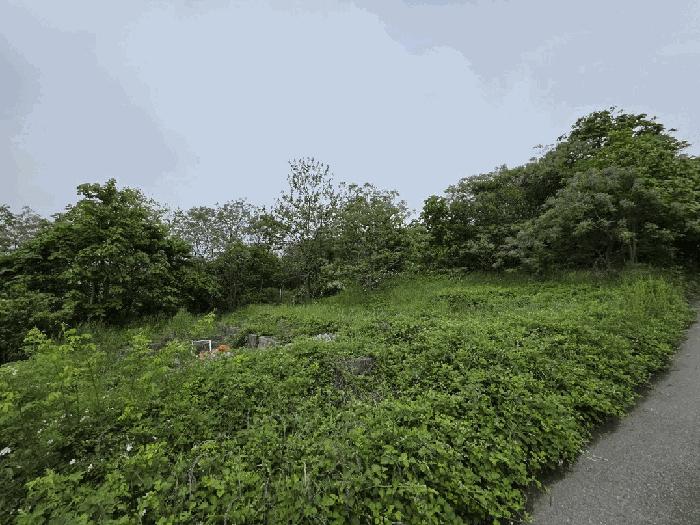 전라남도 무안군 삼향읍 왕산리 357-3 전 경매 사진 3