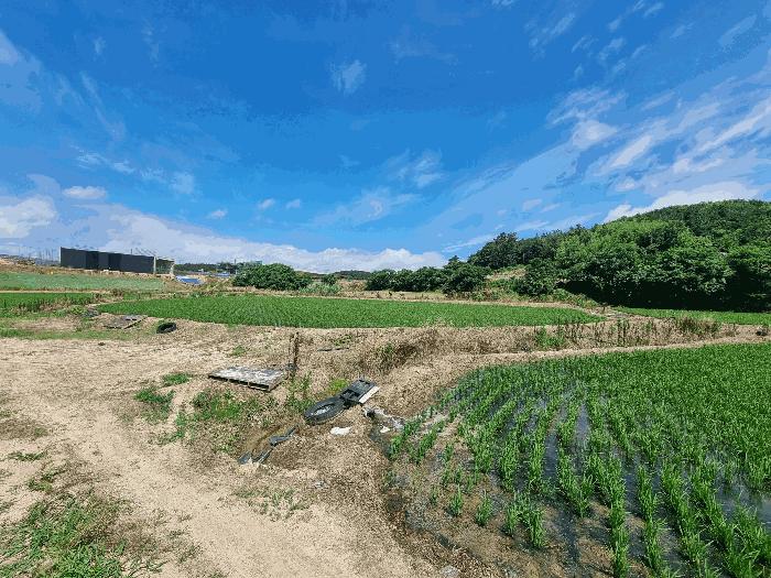 전라남도 무안군 청계면 남성리 271-5 답 경매 사진 3