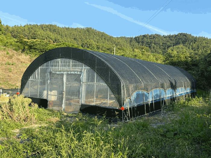 전라남도 신안군 자은면 면전리 232-3 대지 경매 사진 4