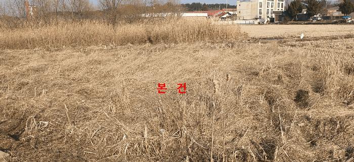 전북특별자치도 군산시 옥산면 옥산리 321-1 답 경매 사진 2
