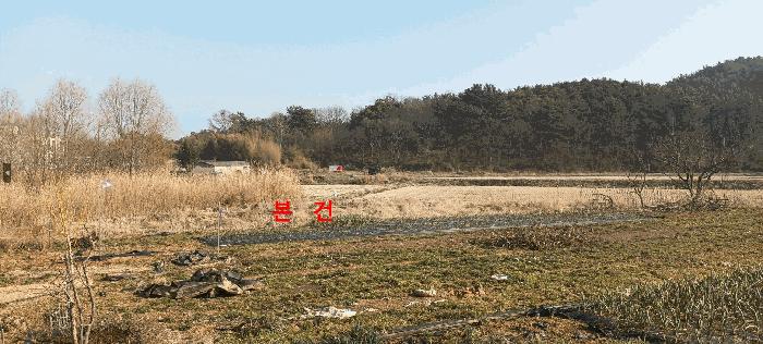 전북특별자치도 군산시 옥산면 옥산리 321-1 답 경매 사진 3