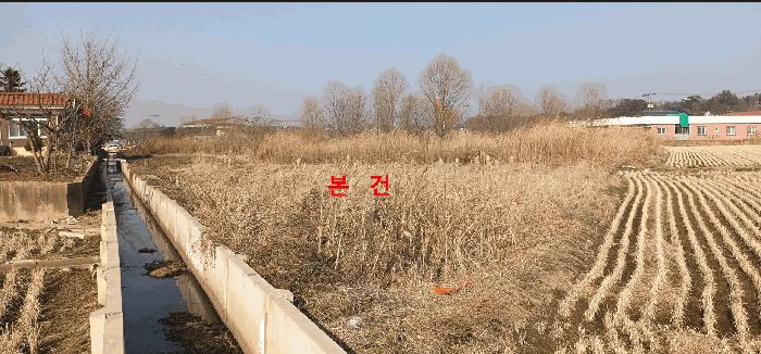 전북특별자치도 군산시 옥산면 옥산리 321-1 답 경매 사진 4
