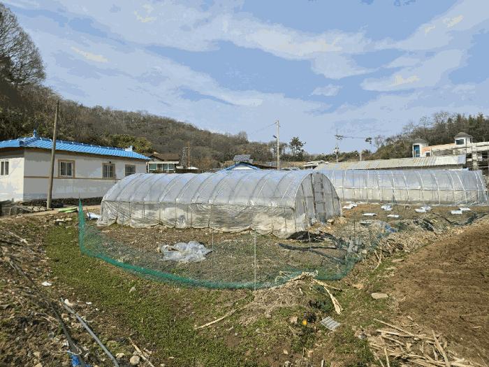 전북특별자치도 군산시 나운동 1262-1 전 경매 사진 1