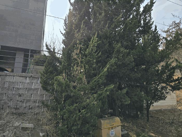 전북특별자치도 군산시 나운동 1262-1 전 경매 사진 22
