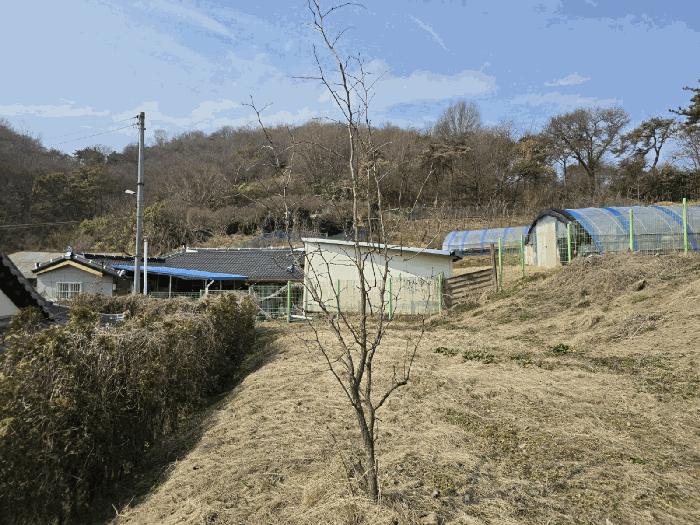 전북특별자치도 군산시 나운동 1262-1 전 경매 사진 7