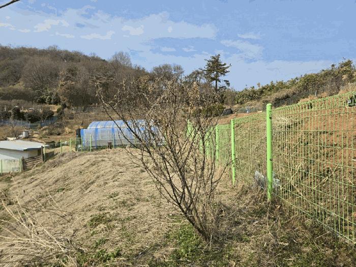 전북특별자치도 군산시 나운동 1294 대지 경매 사진 6