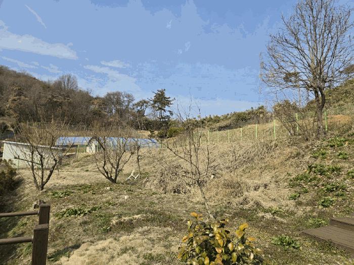 전북특별자치도 군산시 나운동 1298 근린주택 경매 사진 14