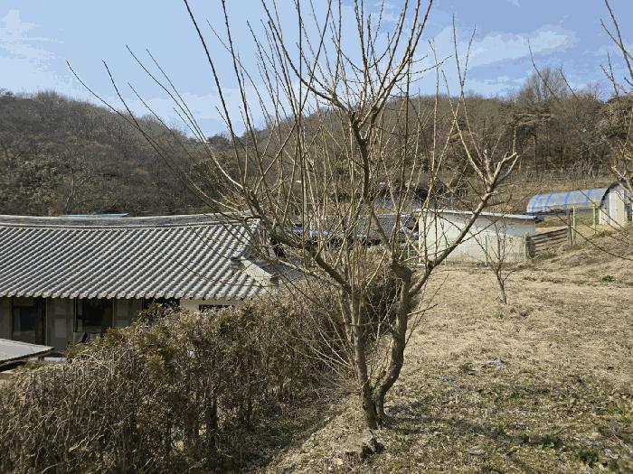 전북특별자치도 군산시 나운동 1298 근린주택 경매 사진 18