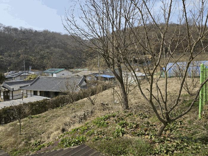 전북특별자치도 군산시 나운동 1298 근린주택 경매 사진 19