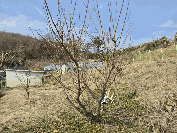 전북특별자치도 군산시 나운동 1298 근린주택 경매 사진 9