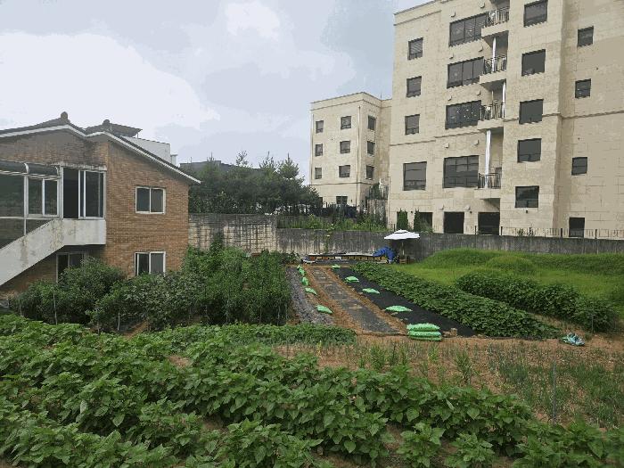 경기도 고양시 일산동구 성석동 428-55 전 경매 사진 3