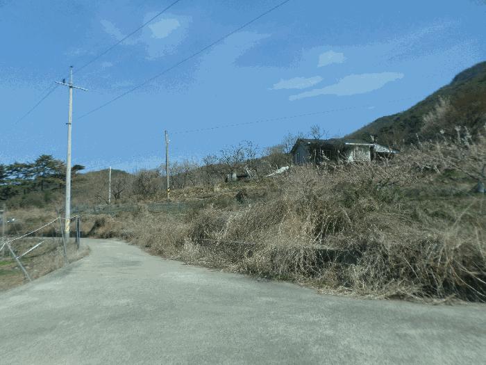 경상북도 청도군 금천면 오봉리 860 답 경매 사진 1