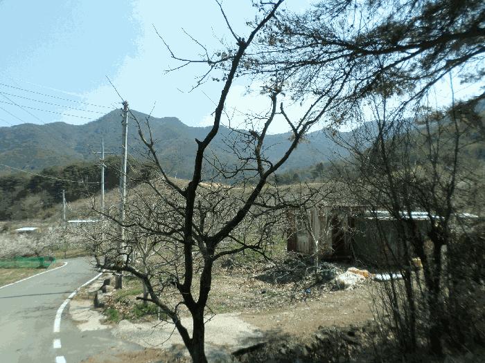 경상북도 청도군 금천면 오봉리 860 답 경매 사진 2