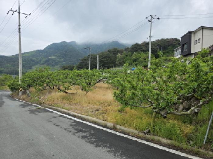 경상북도 청도군 금천면 오봉리 860 답 경매 사진 22