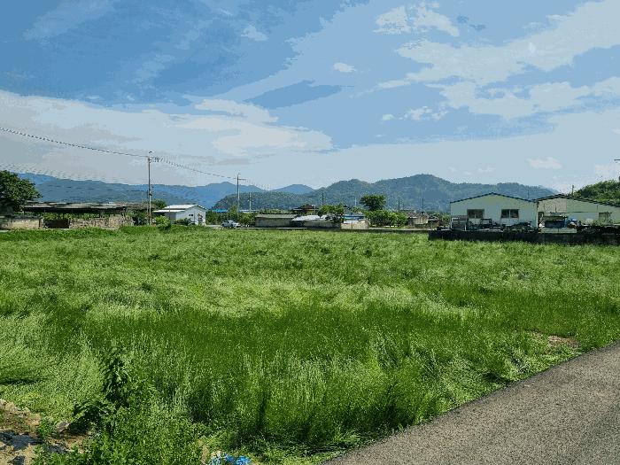 경상북도 청도군 이서면 가금리 580 답 경매 사진 2
