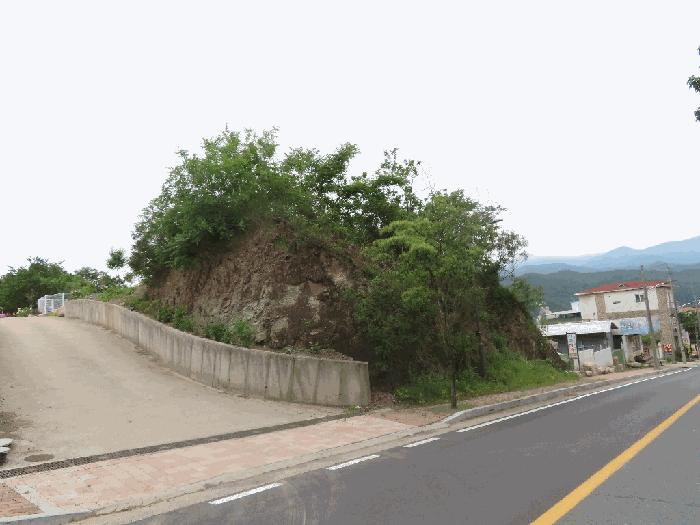 경상북도 영천시 신녕면 완전리 805-2 전 경매 사진 2