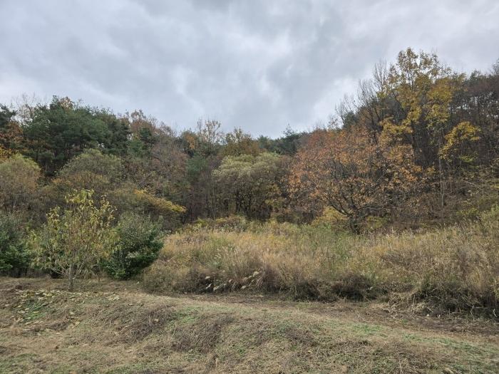 울산광역시 울주군 상북면 덕현리 163 답 경매 사진 6