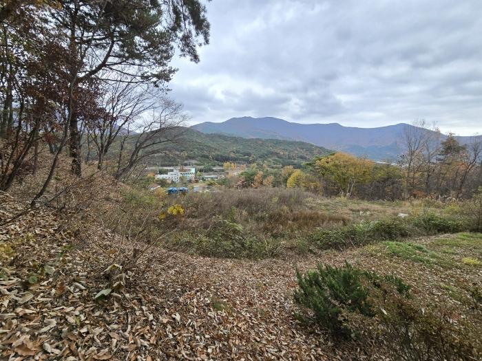 울산광역시 울주군 상북면 덕현리 159 전 경매 사진 7
