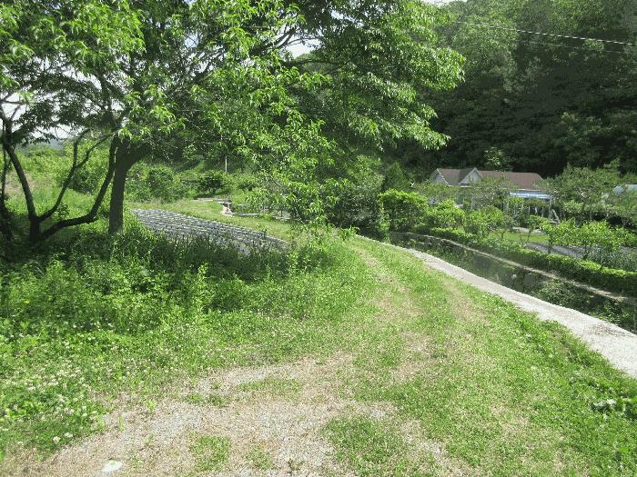 전라남도 담양군 가사문학면 만월리 119 전 경매 사진 3