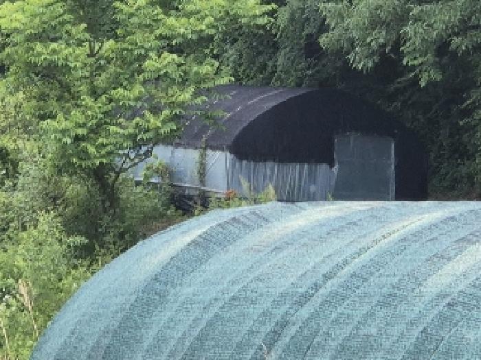 전라남도 담양군 가사문학면 만월리 119 전 경매 사진 7