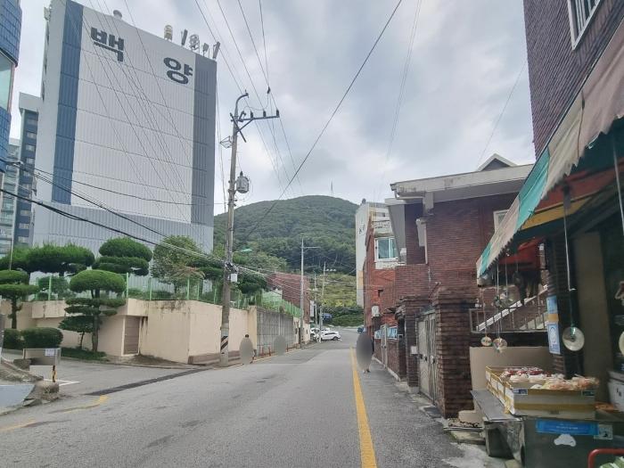부산광역시 강서구 강동동 1537 답 경매 사진 10