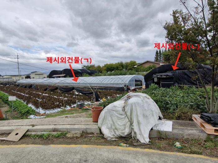 부산광역시 강서구 강동동 1537 답 경매 사진 12