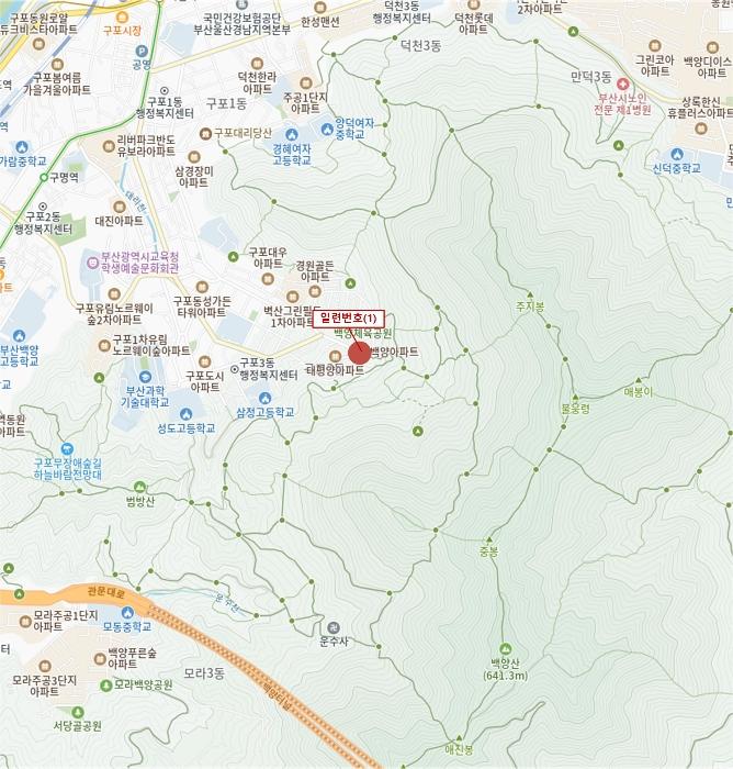 부산광역시 강서구 강동동 1537 답 경매 사진 25