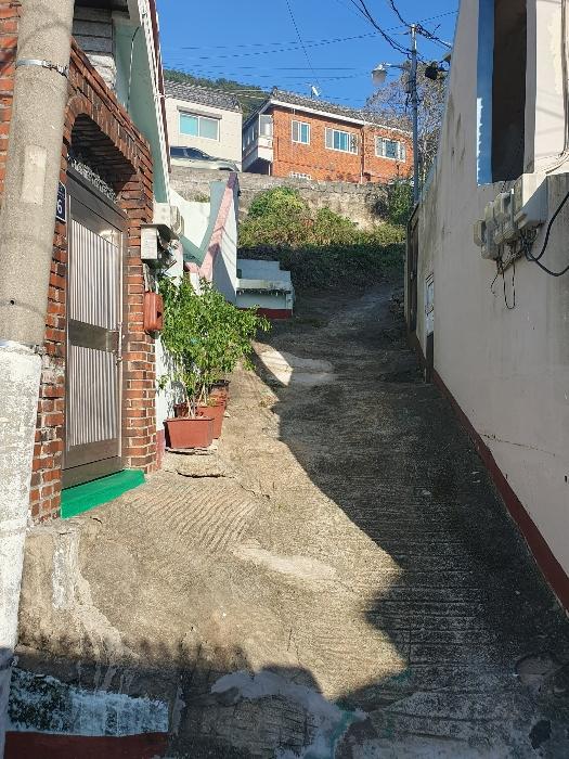 부산광역시 사하구 감천동 산147-9 임야 경매 사진 4