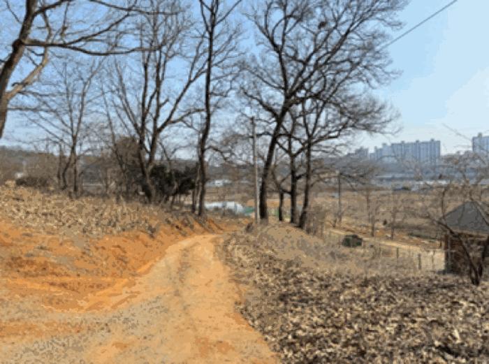 경기도 고양시 덕양구 주교동 495 답 경매 사진 10