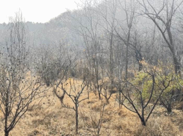 경기도 고양시 덕양구 주교동 495 답 경매 사진 13