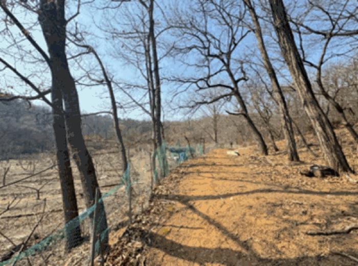 경기도 고양시 덕양구 주교동 495 답 경매 사진 16